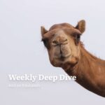 Weekly Deep Dive