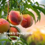 Weekly Deep Dive